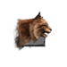 Juvenile Lynx.png