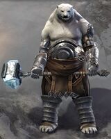 Kodan male 1.jpg