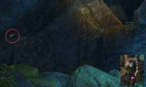 Lion's Arch Exterminator 1.jpg