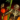 Lucky Great Monkey Lantern.png