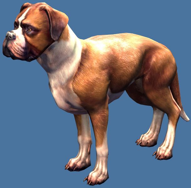 File:Mini Adventure Boxer.jpg