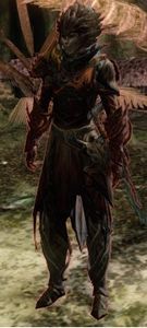 Nightmare Court Pack Trainer.jpg