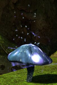 Skyclad Mushroom (object).jpg