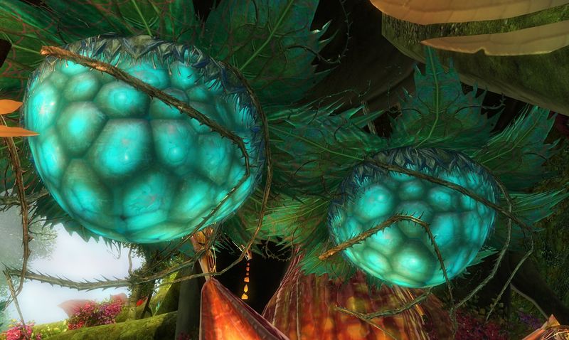 File:Sylvari pods.jpg
