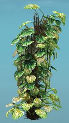 Tropical Bush (Tall).jpg