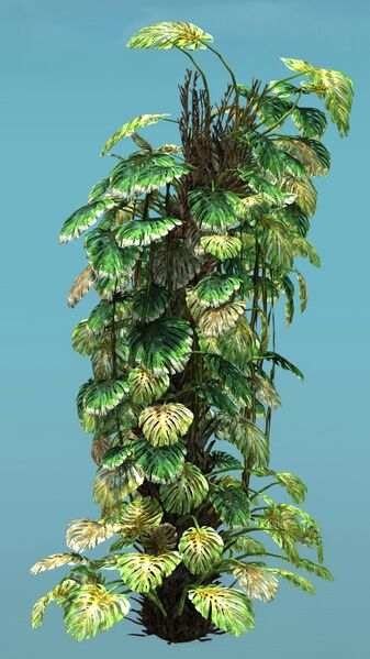 File:Tropical Bush (Tall).jpg