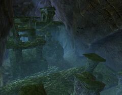 Verarium Delves (jumping puzzle).jpg