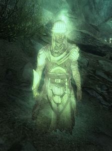 Veteran Ghostly Follower of Ascension.jpg
