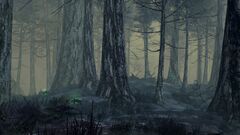 Aberrant Forest.jpg