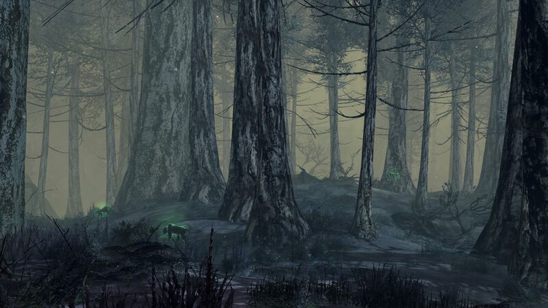File:Aberrant Forest.jpg