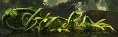 Blighted Growth.jpg