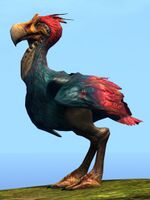 Blue Moa.jpg