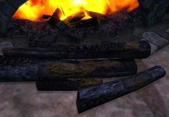 Burnt Wood.jpg
