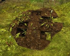 Dig Site.jpg