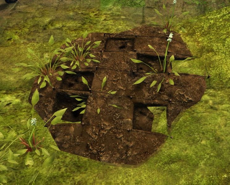 File:Dig Site.jpg