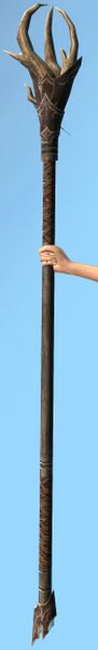 File:Etched Branch.jpg