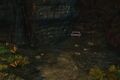 Thumbnail for version as of 12:41, 13 May 2026