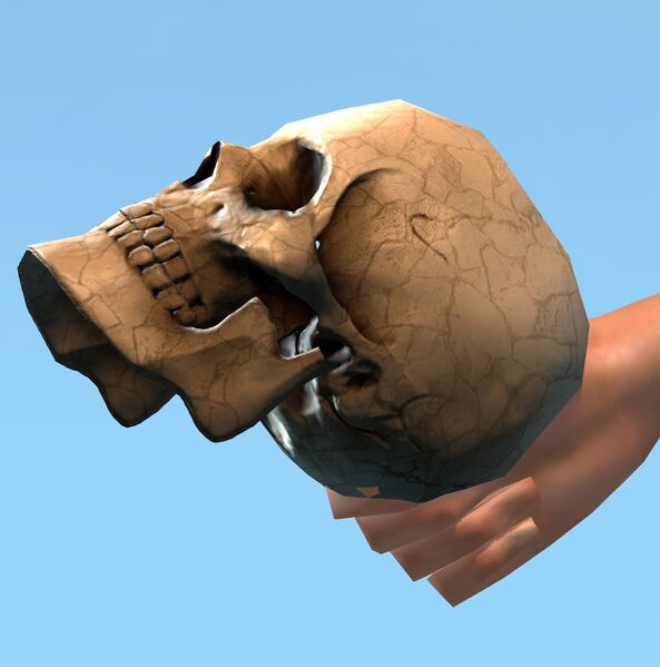 File:Gaze.jpg