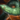 Lungfish