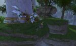 Missing Brood Location 14.jpg
