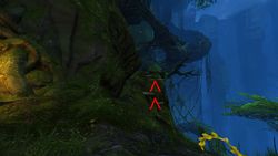 Where to climb