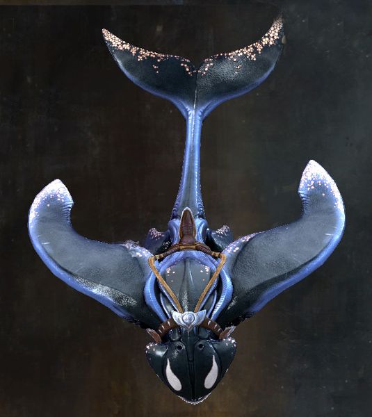 File:Oceanic Broadtail 2.jpg