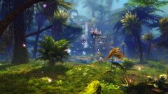 Overgrown Thicket.jpg