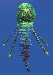 Rainbow Jellyfish.jpg