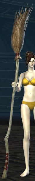 File:Riding Broom stowed.jpg