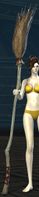 Riding Broom stowed.jpg
