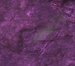 Scratches on the Ground.jpg