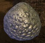 Spider Egg Sac.jpg