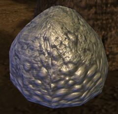 Spider Egg Sac.jpg