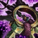 Sunspear Runestone.png