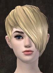 Unique human female hair front 6.jpg