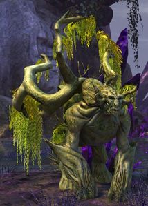 Veteran Willowheart.jpg