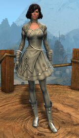 Appearance on light armor.