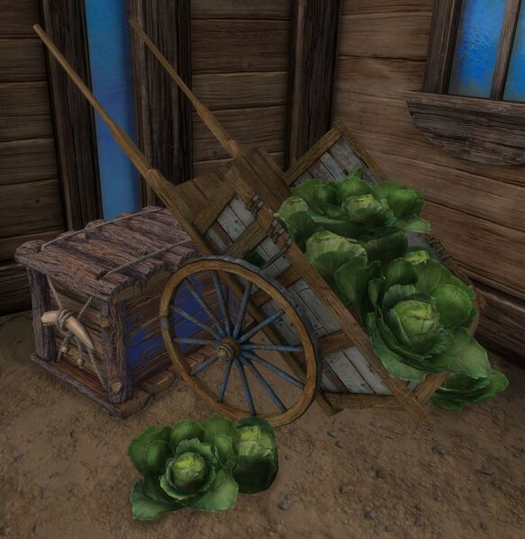 File:Cabbage (object).jpg