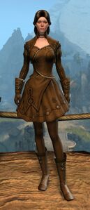 Appearance on light armor.