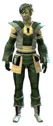 Country armor sylvari male front.jpg