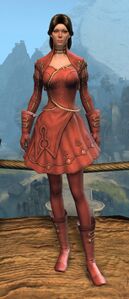 Appearance on light armor.
