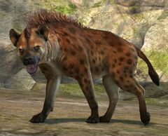 Dark Brown Fur Spotted Hyena.jpg