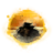 Desert Highlands.png