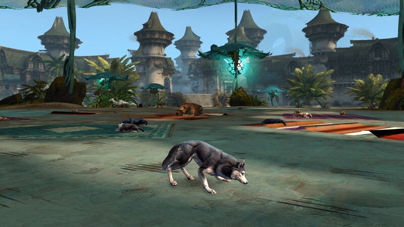 File:Dog Days in Lion's Arch.jpg