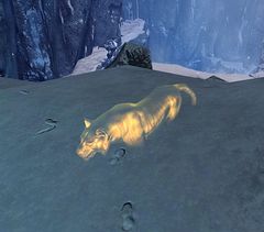 Frozen Tiger Tracks.jpg