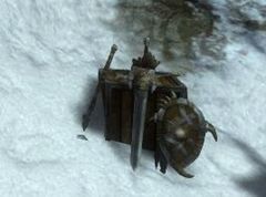 Norn Weapon Rack.jpg
