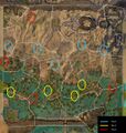 Elon Riverlands
