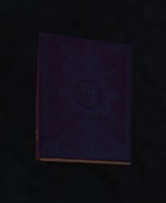 Soggy Book.jpg
