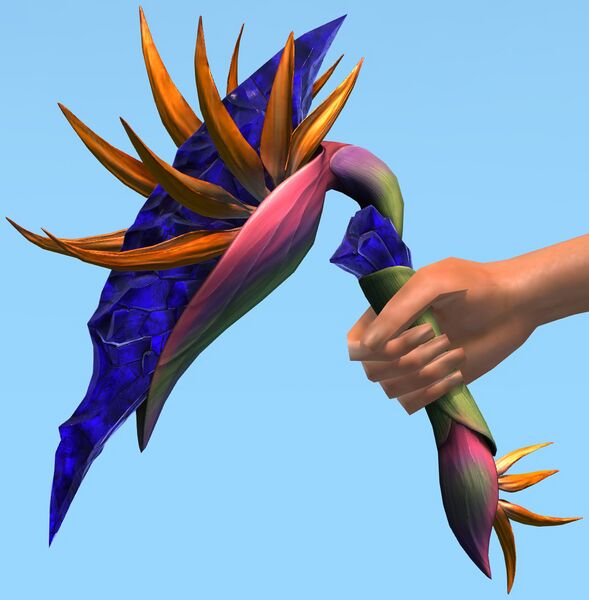 File:Strelitzia Crystallinum Focus.jpg