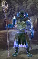 Svanir Seer (Bjora Marches).jpg